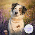 VALENTIN - Scarf with little hearts